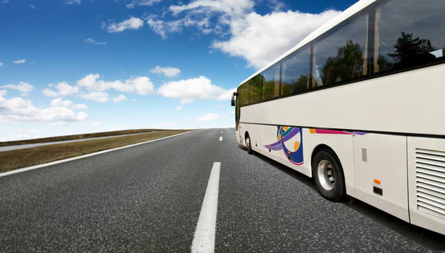 bus