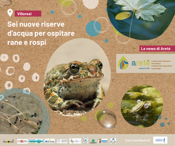 Progetto Aretè: Sei riserve d’acqua artificiali favoriscono la fauna aiutando a mantenere la biodiversità della rete Villoresi