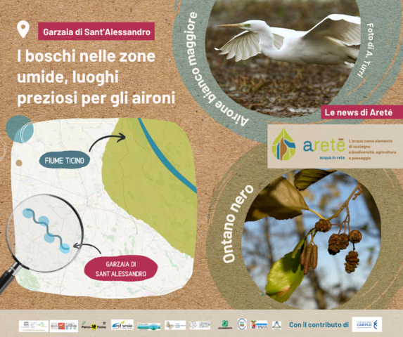 Sai cos'è un sito Natura 2000? E una Zona Speciale di Conservazione?